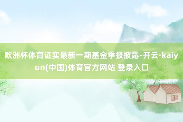 欧洲杯体育证实最新一期基金季报披露-开云·kaiyun(中国)体育官方网站 登录入口