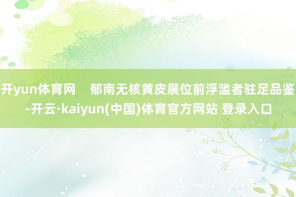 开yun体育网    郁南无核黄皮展位前浮滥者驻足品鉴-开云·kaiyun(中国)体育官方网站 登录入口