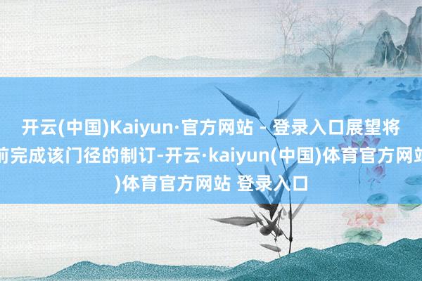 开云(中国)Kaiyun·官方网站 - 登录入口展望将在3月1日前完成该门径的制订-开云·kaiyun(中国)体育官方网站 登录入口