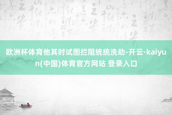 欧洲杯体育他其时试图拦阻统统洗劫-开云·kaiyun(中国)体育官方网站 登录入口