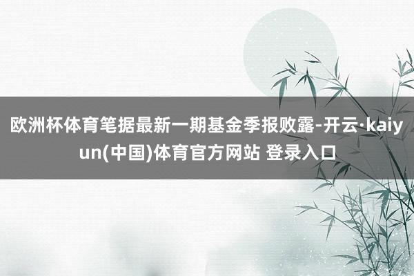 欧洲杯体育笔据最新一期基金季报败露-开云·kaiyun(中国)体育官方网站 登录入口