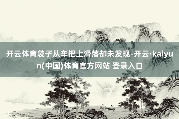 开云体育袋子从车把上滑落却未发现-开云·kaiyun(中国)体育官方网站 登录入口
