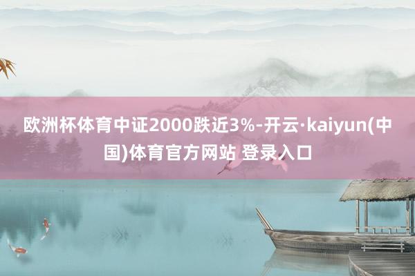欧洲杯体育中证2000跌近3%-开云·kaiyun(中国)体育官方网站 登录入口