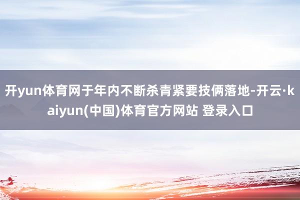开yun体育网于年内不断杀青紧要技俩落地-开云·kaiyun(中国)体育官方网站 登录入口