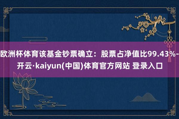 欧洲杯体育该基金钞票确立：股票占净值比99.43%-开云·kaiyun(中国)体育官方网站 登录入口