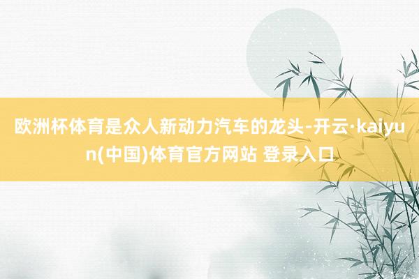 欧洲杯体育是众人新动力汽车的龙头-开云·kaiyun(中国)体育官方网站 登录入口