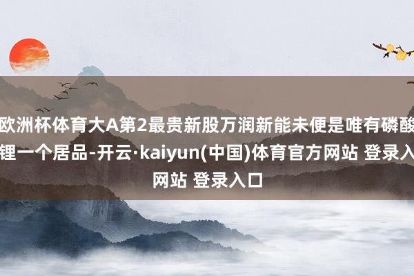 欧洲杯体育大A第2最贵新股万润新能未便是唯有磷酸铁锂一个居品-开云·kaiyun(中国)体育官方网站 登录入口