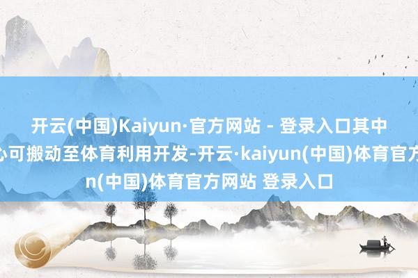 开云(中国)Kaiyun·官方网站 - 登录入口其中部分时候有野心可搬动至体育利用开发-开云·kaiyun(中国)体育官方网站 登录入口