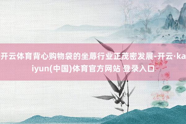 开云体育背心购物袋的坐蓐行业正茂密发展-开云·kaiyun(中国)体育官方网站 登录入口