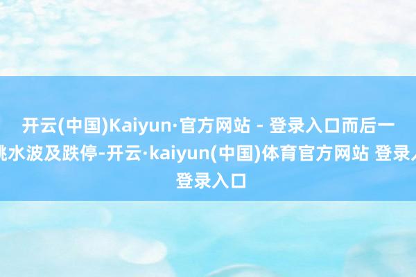 开云(中国)Kaiyun·官方网站 - 登录入口而后一度跳水波及跌停-开云·kaiyun(中国)体育官方网站 登录入口