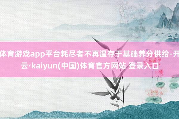 体育游戏app平台耗尽者不再温存于基础养分供给-开云·kaiyun(中国)体育官方网站 登录入口