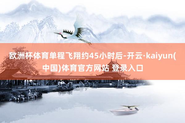 欧洲杯体育单程飞翔约45小时后-开云·kaiyun(中国)体育官方网站 登录入口