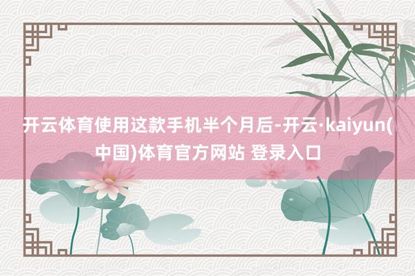 开云体育使用这款手机半个月后-开云·kaiyun(中国)体育官方网站 登录入口