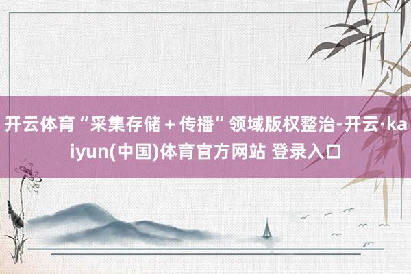 开云体育“采集存储+传播”领域版权整治-开云·kaiyun(中国)体育官方网站 登录入口