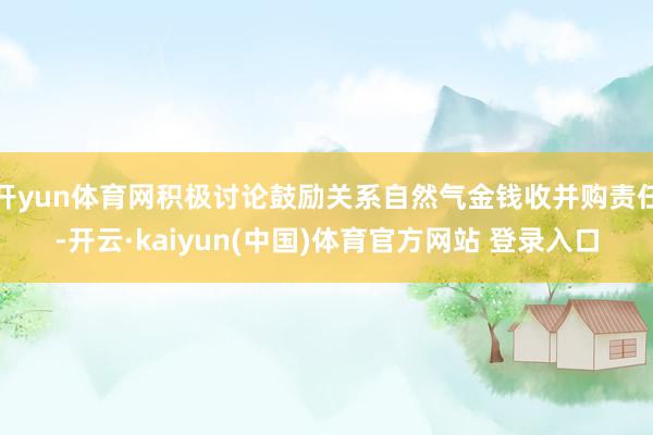 开yun体育网积极讨论鼓励关系自然气金钱收并购责任-开云·kaiyun(中国)体育官方网站 登录入口