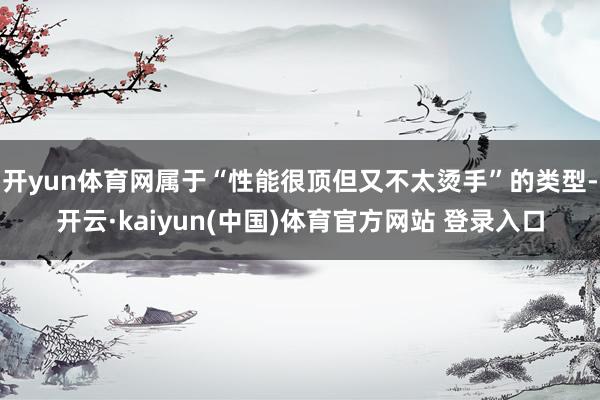 开yun体育网属于“性能很顶但又不太烫手”的类型-开云·kaiyun(中国)体育官方网站 登录入口