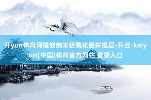 开yun体育网镶嵌纳米级氧化铝撑捏层-开云·kaiyun(中国)体育官方网站 登录入口
