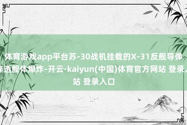 体育游戏app平台苏-30战机挂载的X-31反舰导弹可穿透舰体爆炸-开云·kaiyun(中国)体育官方网站 登录入口