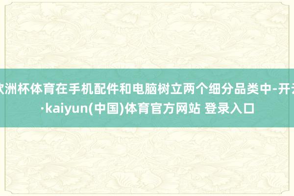 欧洲杯体育在手机配件和电脑树立两个细分品类中-开云·kaiyun(中国)体育官方网站 登录入口