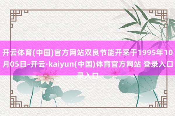 开云体育(中国)官方网站双良节能开采于1995年10月05日-开云·kaiyun(中国)体育官方网站 登录入口